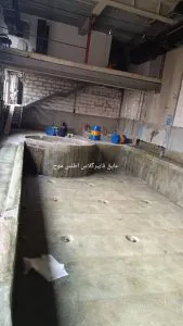 WhatsApp Image 2024 12 24 at 10 54 22 169x300